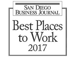 sdbj2017-grey